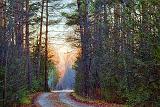 Backroad At Sunrise_01373-4